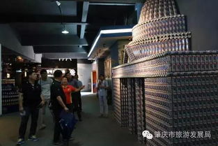 深化旅游交流合作,韩国统营一行点赞肇庆